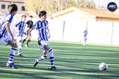 MIC26_DIVENDRES_RSO_FIG-11