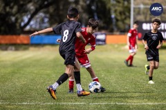 MIC26_DIJOUS_SEV_IMP-17