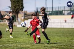 MIC26_DIJOUS_SEV_IMP-21