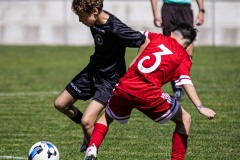 MIC26_DIJOUS_SEV_IMP-5