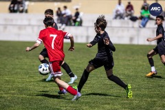 MIC26_DIJOUS_SEV_IMP-7