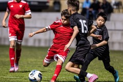 MIC26_DIJOUS_SEV_IMP-8