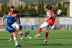 1_MIC25_DivTarda_AF-82