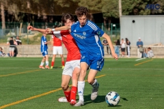 1_MIC25_DivTarda_AF-85