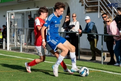 1_MIC25_DivTarda_AF-86