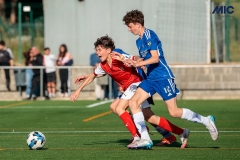 MIC25_DivTarda_AF-100