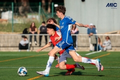 MIC25_DivTarda_AF-101