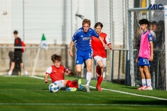 MIC25_DivTarda_AF-62