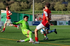 MIC25_DivTarda_AF-74