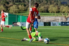 MIC25_DivTarda_AF-75