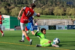 MIC25_DivTarda_AF-76