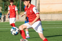 MIC25_DivTarda_AF-80