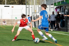 MIC25_DivTarda_AF-83