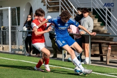 MIC25_DivTarda_AF-87