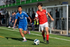 MIC25_DivTarda_AF-88