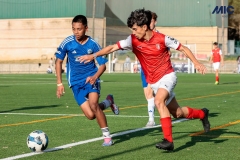 MIC25_DivTarda_AF-92