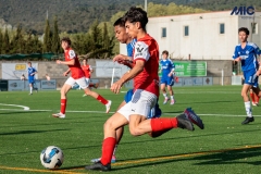 MIC25_DivTarda_AF-93