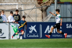 MIC25_DivTarda_AF-11