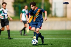 MIC25_DivTarda_AF-15