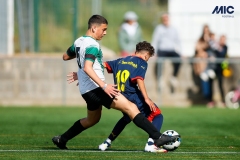 MIC25_DivTarda_AF-16