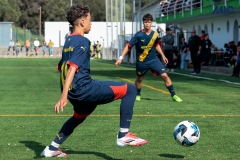 MIC25_DivTarda_AF-35