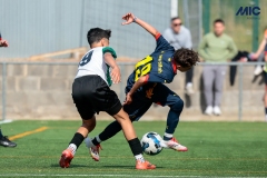 MIC25_DivTarda_AF-36