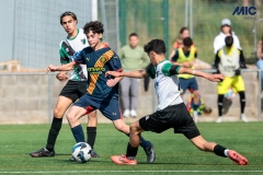MIC25_DivTarda_AF-37