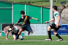 MIC25_DivTarda_AF-38