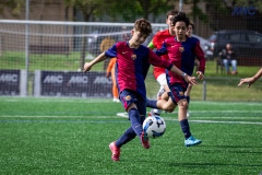 MIC25_STR_FCB_DS-2