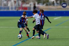 STYLE vs L'ESCALA (U12A)