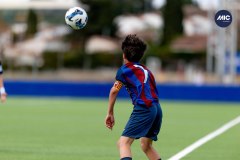 MIC26_MIC26__IC11245