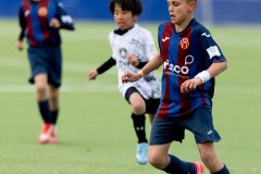 MIC26_MIC26__IC11252