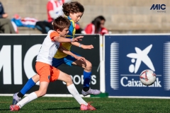 MIC25_DijousMati_AF-17