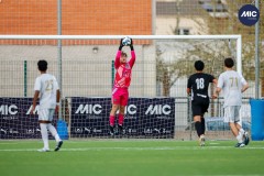 MIC26_U16_THEFANJ_SAFORCF-2