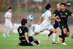 MIC26_U16_THEFANJ_SAFORCF-3