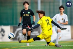 MIC26_U16_THEFANJ_SAFORCF-7