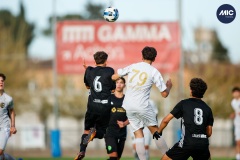 MIC26_U16_THEFANJ_SAFORCF-8