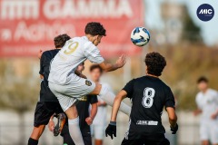 MIC26_U16_THEFANJ_SAFORCF-9