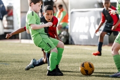 MIC24_U12A_2012NORTH_UEQUART-24
