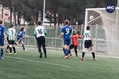 MIC22_U12A_PER_RMD_DM-17