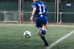 MIC22_U12A_PER_RMD_DM-15