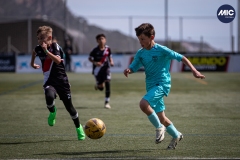 MIC24_U12A_FCB_NLS_DS-10