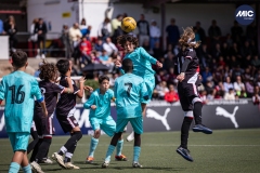 MIC24_U12A_FCB_NLS_DS-12
