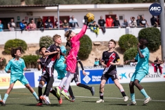 MIC24_U12A_FCB_NLS_DS-17