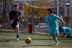 MIC24_U12A_FCB_NLS_DS-18