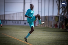 MIC24_U12A_FCB_NLS_DS-20