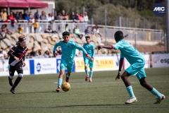 MIC24_U12A_FCB_NLS_DS-22