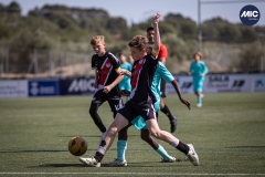 MIC24_U12A_FCB_NLS_DS-24