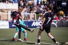 MIC24_U12A_FCB_NLS_DS-28