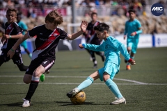 MIC24_U12A_FCB_NLS_DS-30